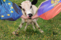 Šok pro EU! Ukrajinci nenašli lídra delegace do EP – tak to odpískali