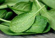 Pesticidy v potravinách jsou. Někdy jich ale obsahují až nezdravě moc